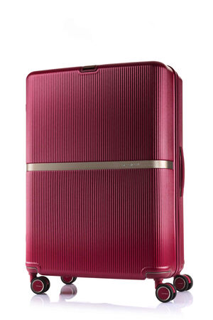 MINTER SPINNER 75/28 EXP  hi-res | Samsonite