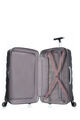 FIRELITE SPINNER 55/20  hi-res | Samsonite