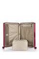 MINTER SPINNER 55/20  hi-res | Samsonite