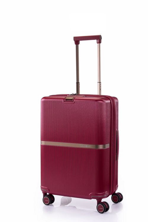 MINTER SPINNER 55/20  hi-res | Samsonite